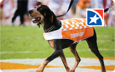 UT Smokey debit card design